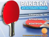 Ракетка н/т 2 звезда + чехол :(3005):