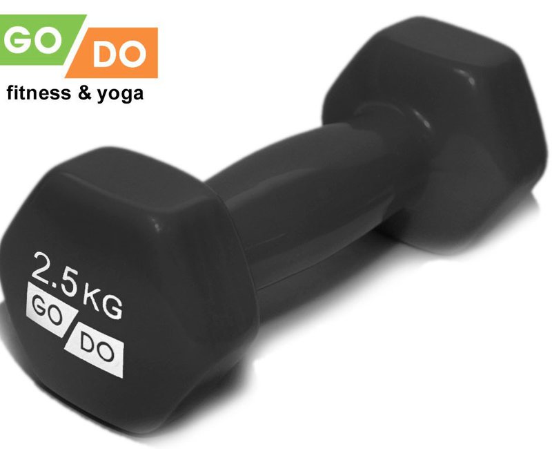 Гантель 2.5 кг GO DO 