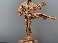 Фигура Карате