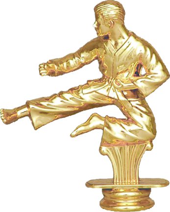 Фигура Карате
