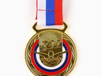 Медаль Плавание 193